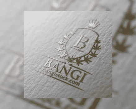 Bangi Inc