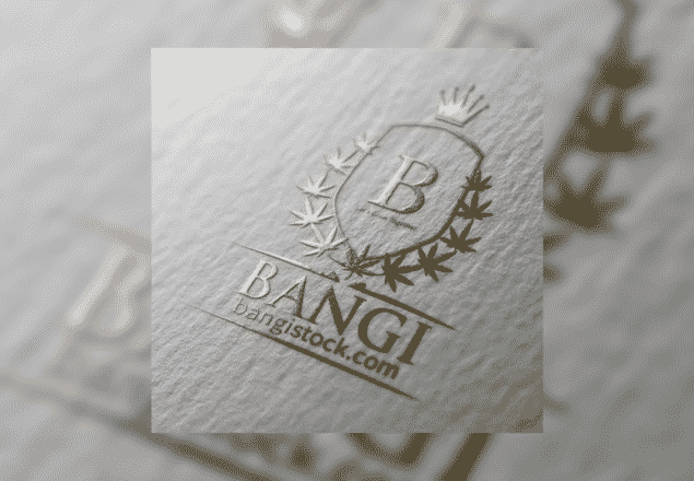 Bangi Inc