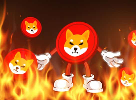 SHIB Army Continues the Burning Streak in the Hope of Pushing the Price